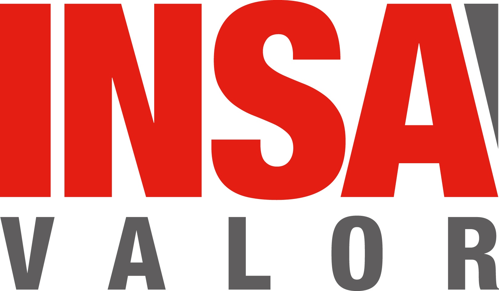 INSA LYON